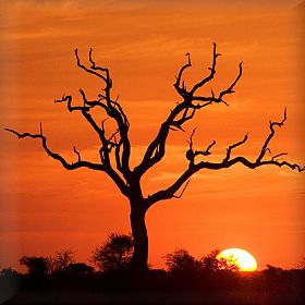 Hazyview sunset